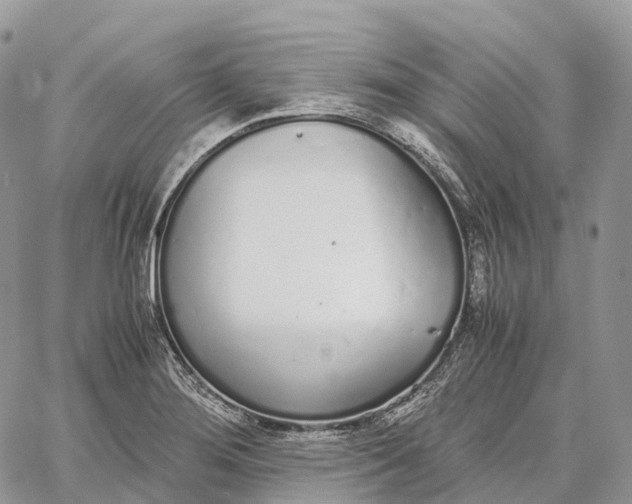 X0000062671276200601041000