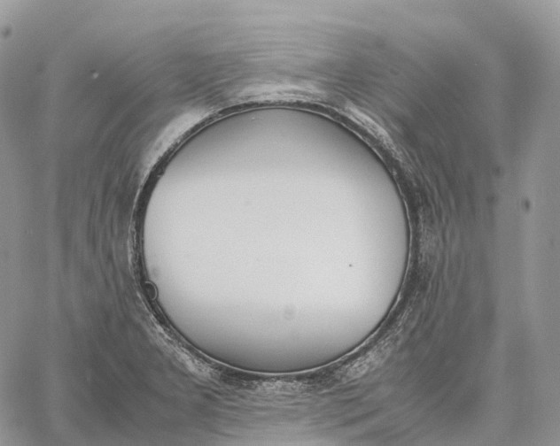 X0000062671277200601041000