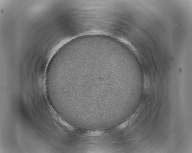 X0000062671278200601041000