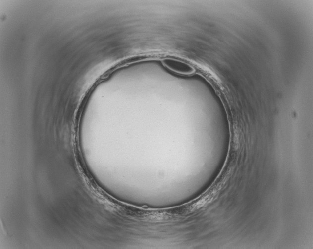 X0000062671279200601041000