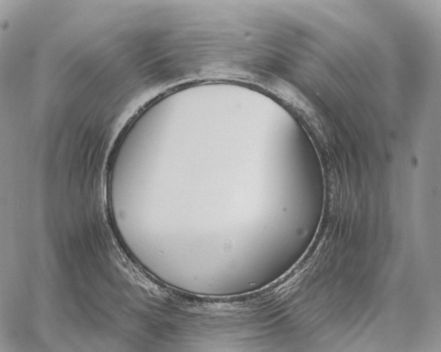 X0000062671280200601041000