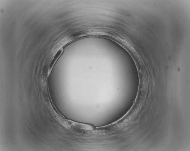 X0000062671281200601041000