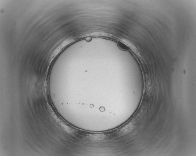 X0000062671282200601041000