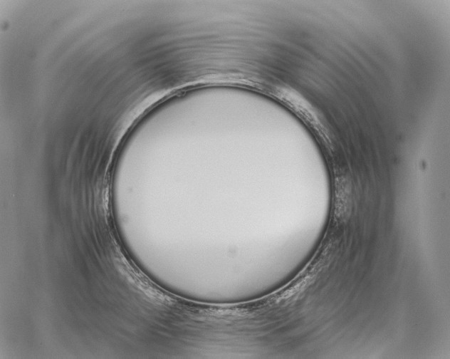 X0000062671284200601041000