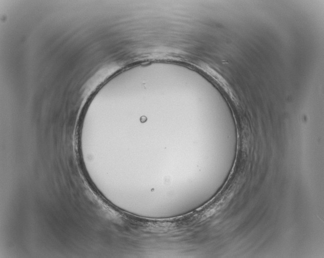 X0000062671285200601041000