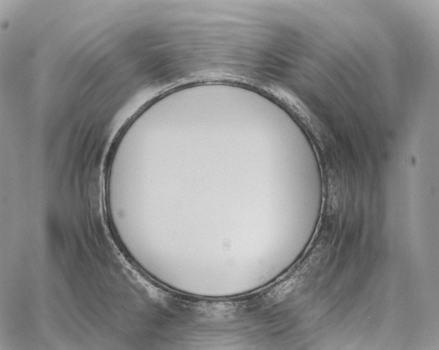 X0000062671286200601041000