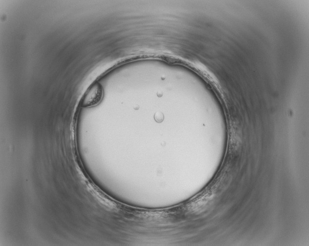 X0000062671287200601041000