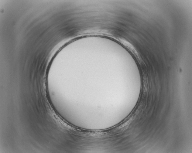 X0000062671288200601041000