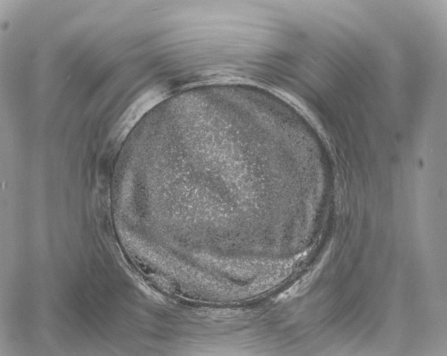 X0000062671289200601041000