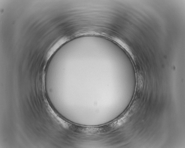 X0000062671290200601041000