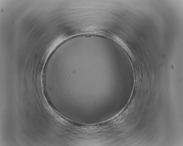 X0000062671291200601041000