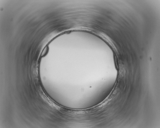 X0000062671292200601041000