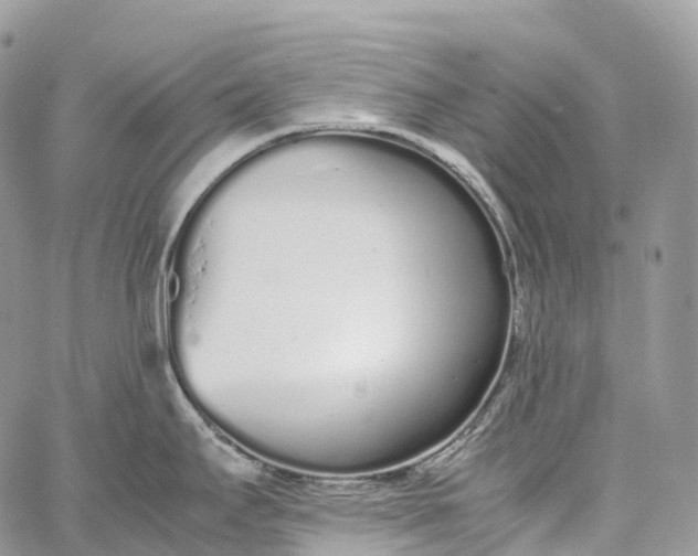 X0000062671295200601041000