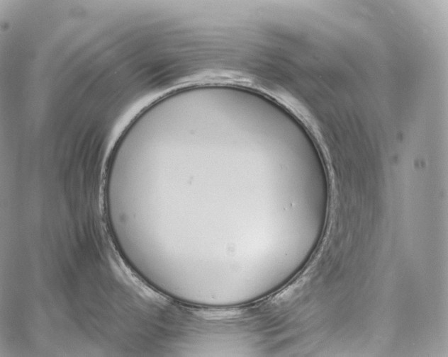 X0000062671296200601041000