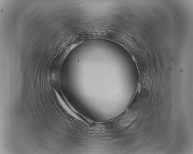 X0000062671298200601040959