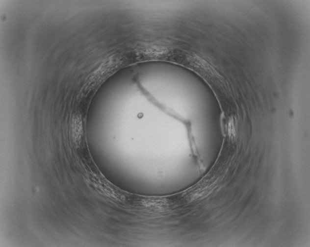 X0000062671299200601040959