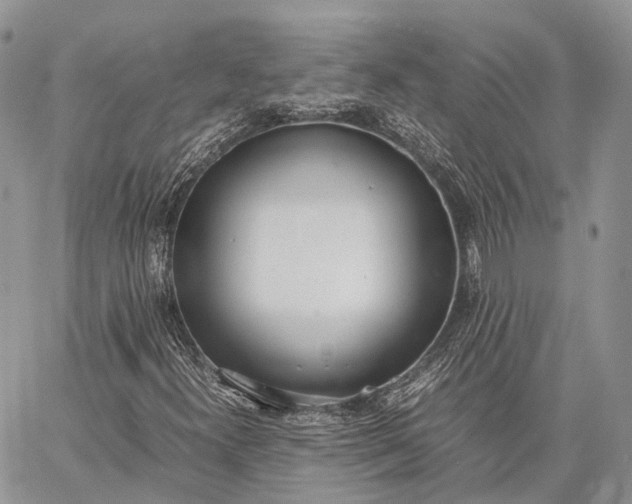 X0000062671300200601040959