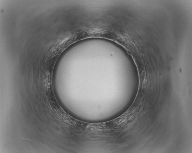 X0000062671301200601040959