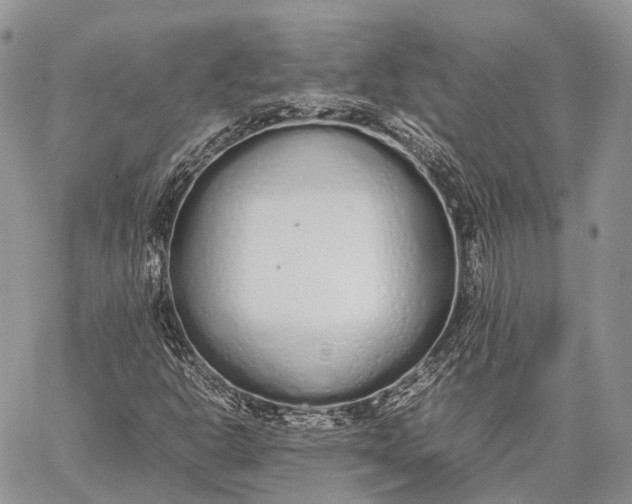 X0000062671302200601040959