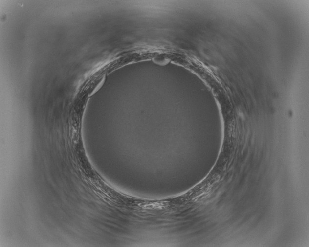 X0000062671303200601040959