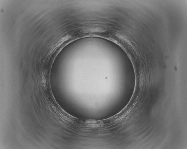 X0000062671305200601040959