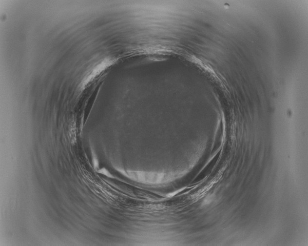 X0000062671306200601040959