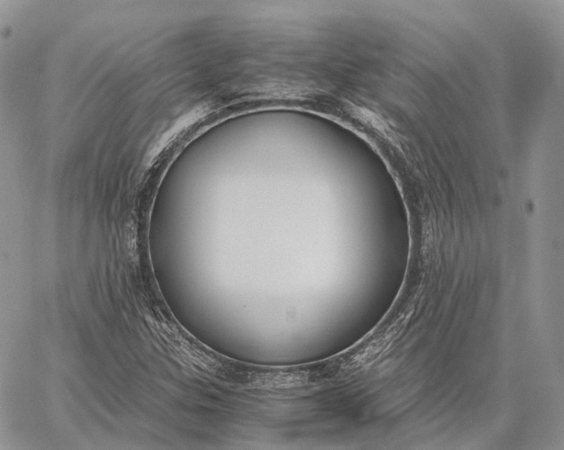 X0000062671307200601040959