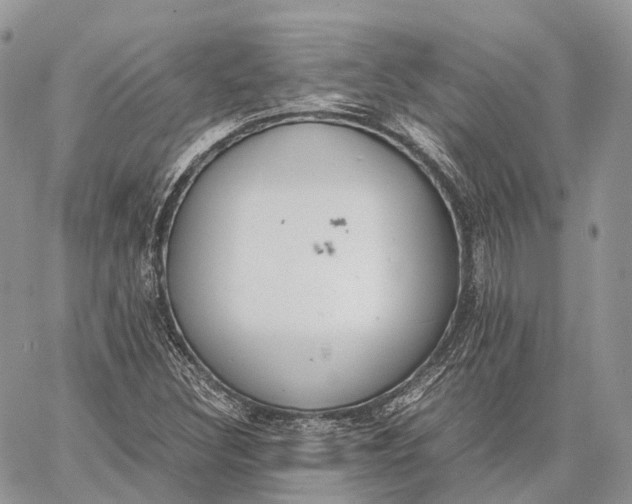 X0000062671308200601040959