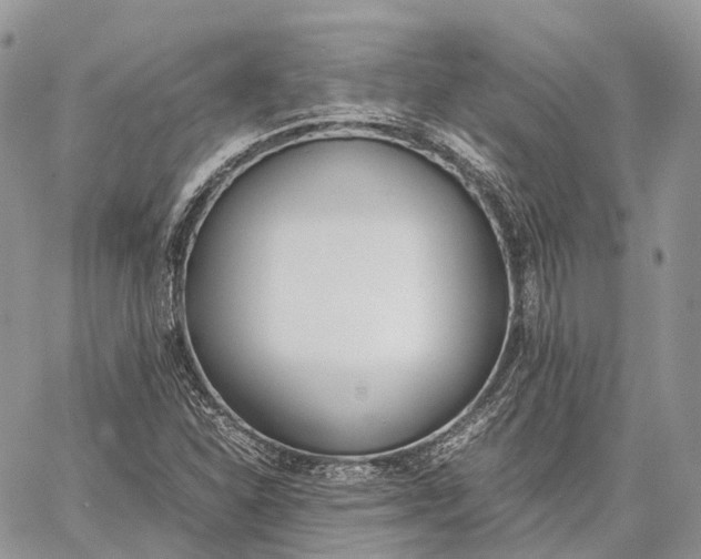 X0000062671310200601040959