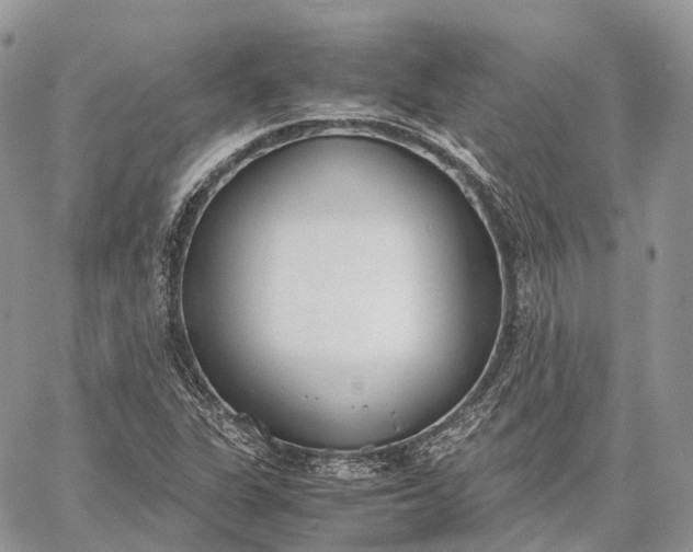 X0000062671311200601040959