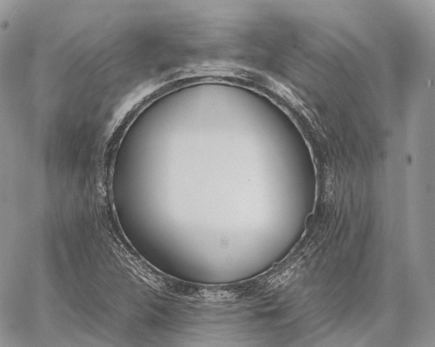 X0000062671312200601040959