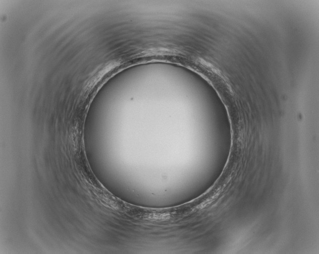 X0000062671313200601040959