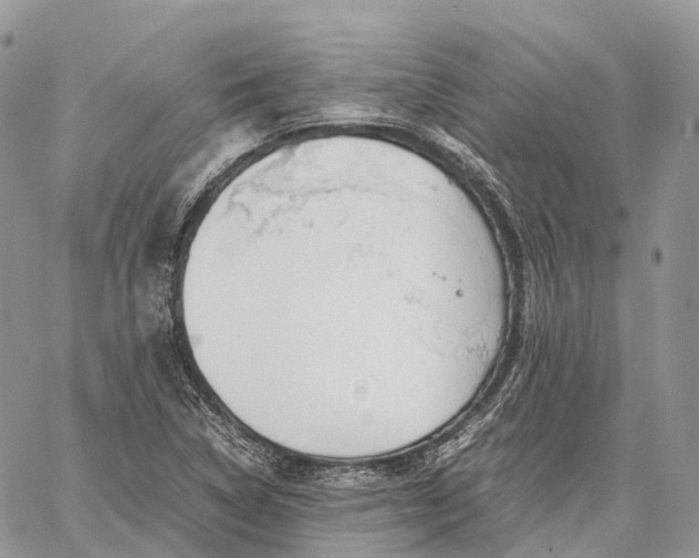 X0000062671314200601040959