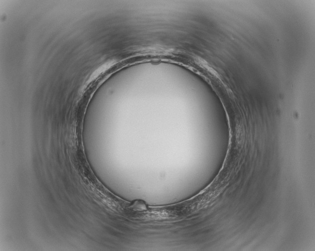 X0000062671315200601040959