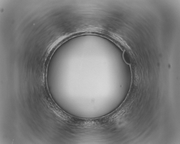 X0000062671316200601040959