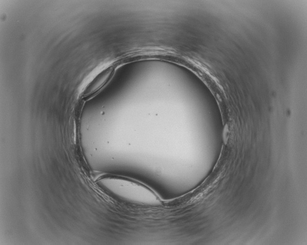 X0000062671317200601040959