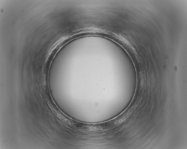 X0000062671318200601040959