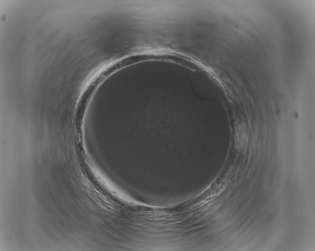 X0000062671319200601040959