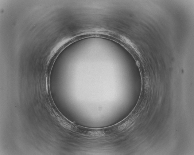 X0000062671320200601040959