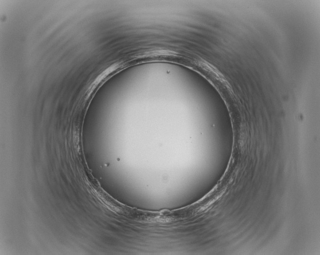 X0000062671321200601040959