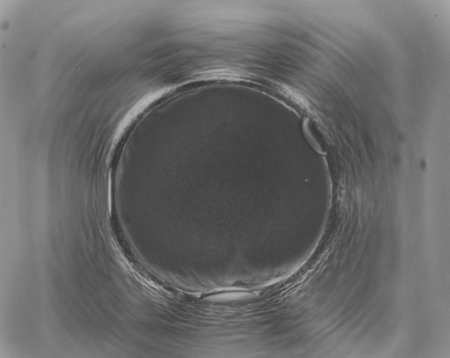 X0000062671323200601040959