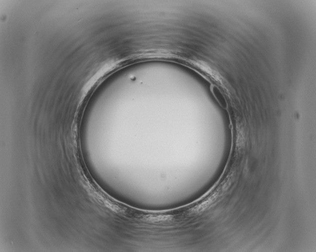 X0000062671325200601040959