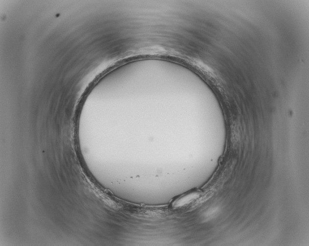 X0000062671326200601040959