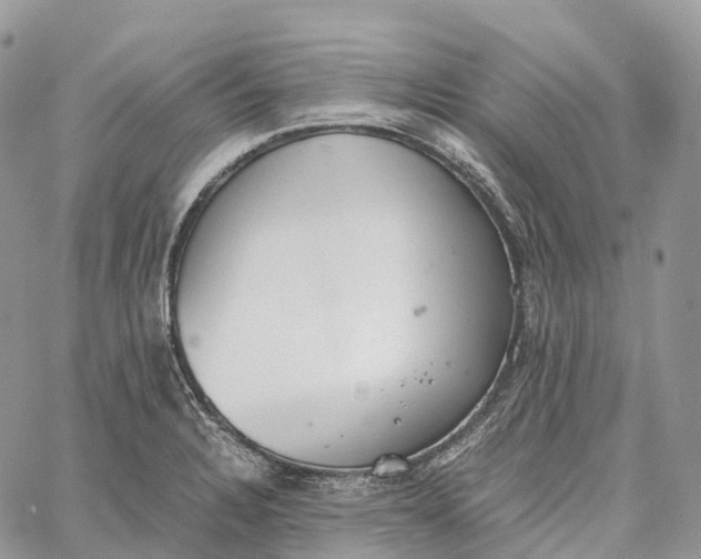 X0000062671328200601040959