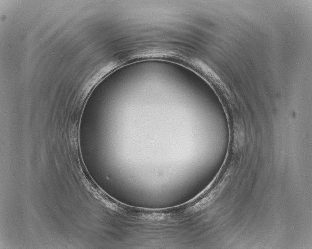 X0000062671329200601040959