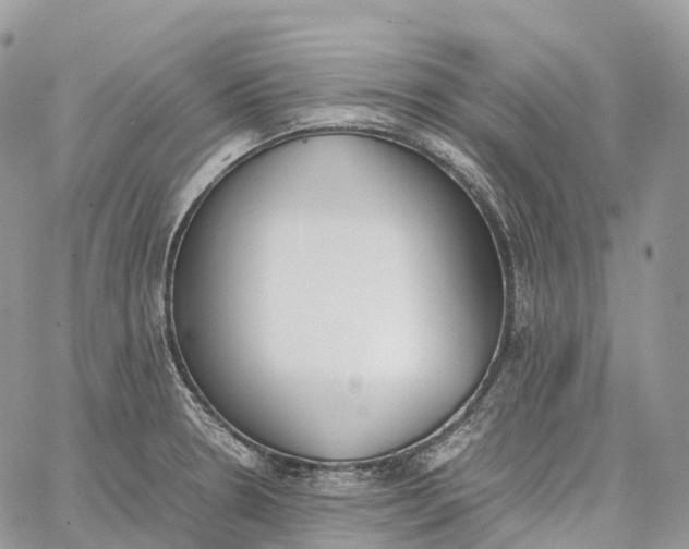 X0000062671330200601040959