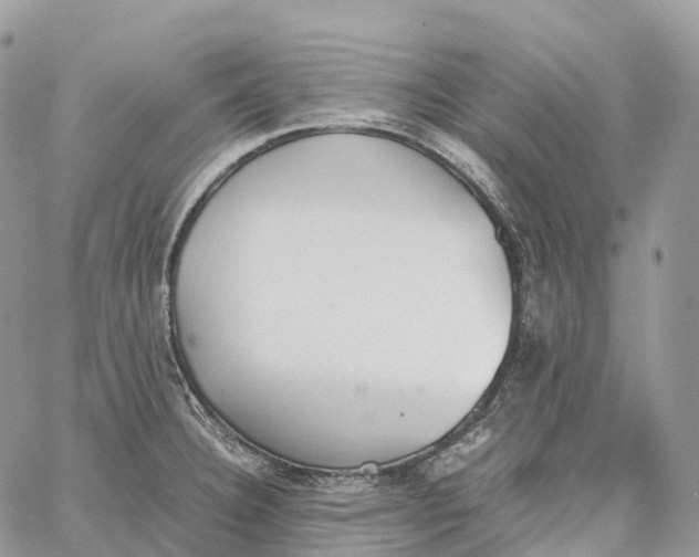 X0000062671332200601040959