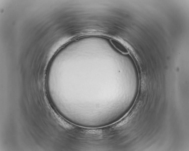 X0000062671333200601040959