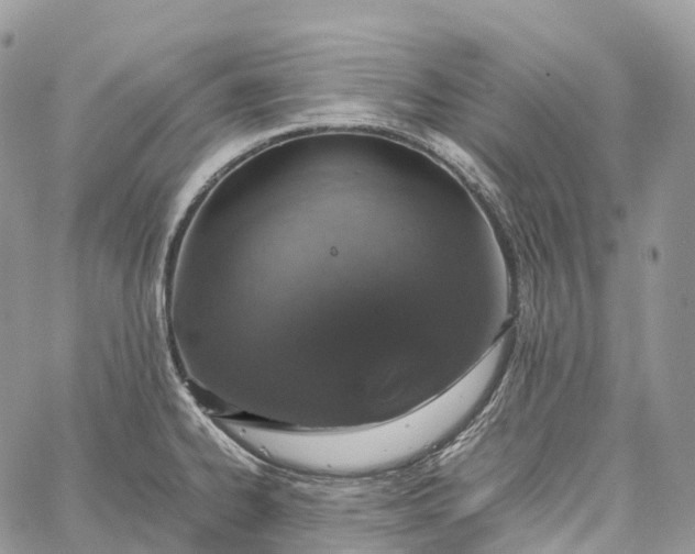 X0000062671334200601041000