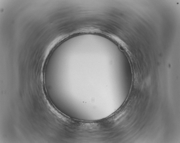 X0000062671335200601041000